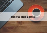 啥叫软装（软装是做什么）