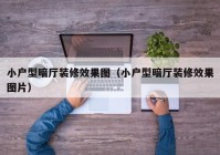 小户型暗厅装修效果图（小户型暗厅装修效果图片）