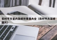 农村平方室内装修效果图大全（农村平方装修图片）