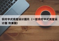 农村中式房屋设计图片（一层农村中式房屋设计图 效果图）