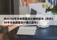 农村100平方米房屋设计图两层半（农村100平方米房屋设计图三层半）