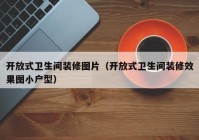 开放式卫生间装修图片（开放式卫生间装修效果图小户型）