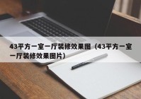 43平方一室一厅装修效果图（43平方一室一厅装修效果图片）