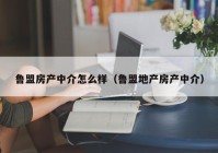 鲁盟房产中介怎么样（鲁盟地产房产中介）