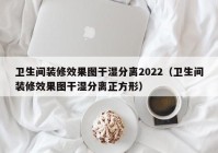 卫生间装修效果图干湿分离2022（卫生间装修效果图干湿分离正方形）