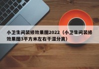 小卫生间装修效果图2022（小卫生间装修效果图3平方米左右干湿分离）